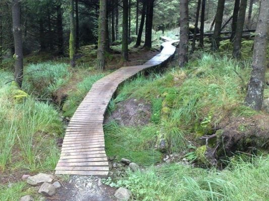 ballyhoura trail