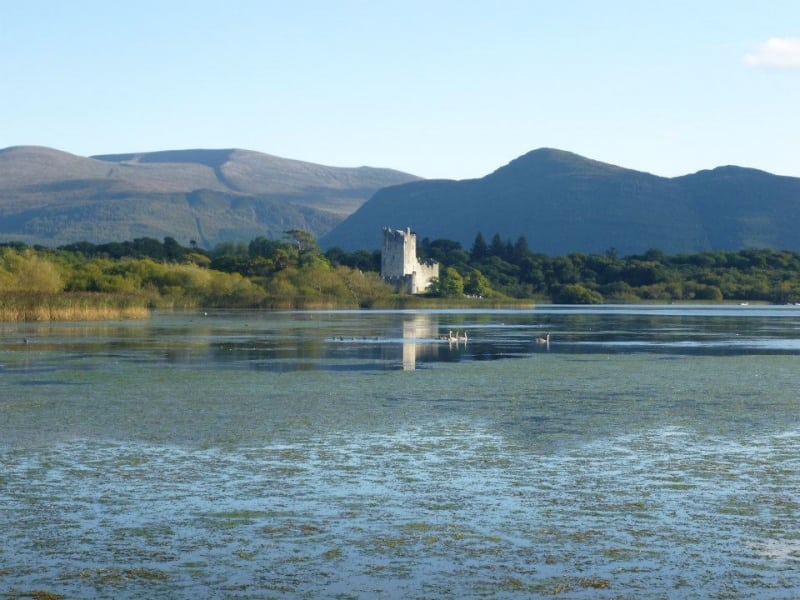 Ross Castle with Mangerton and Torc