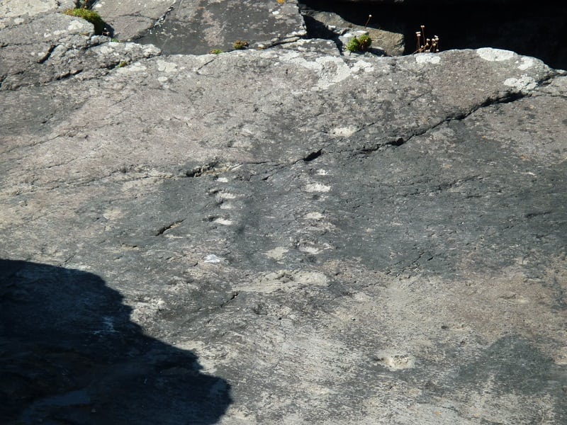 Tetrapod Footprints 365 million year old, Valentia Island, Ring of Kerry, Wild Atlantic Way, Ireland