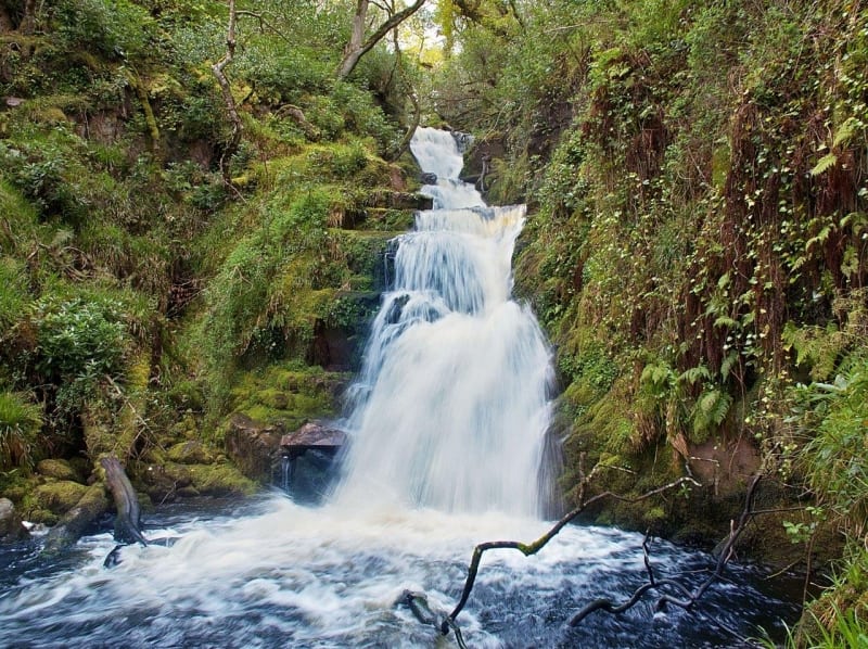 O'Sullivan's Casade in Tomies Wood, Killarney
