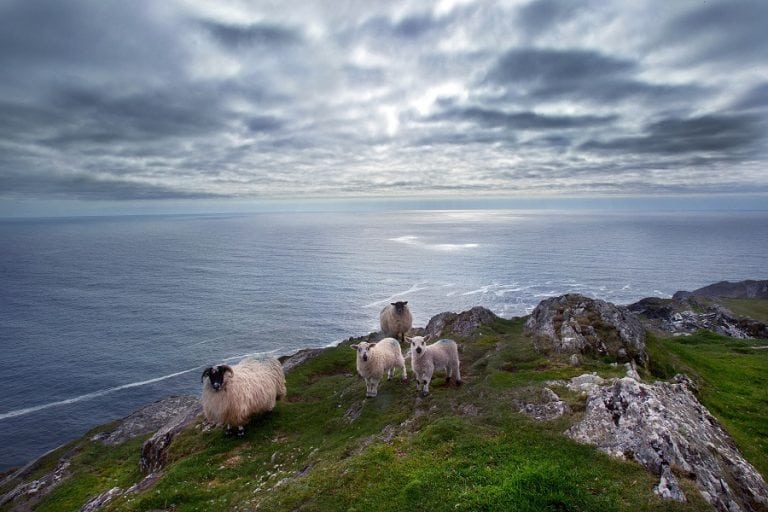 Sheeps Head Way and St. Finbar's Way Pilgrim Trail, West Cork Walking, Ireland Location