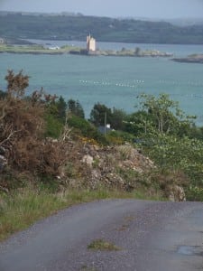 Rossbrin Loop Walk, Roaring water bay, West Cork
