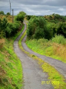 Derreenard Loop Walk - lovely rural roads