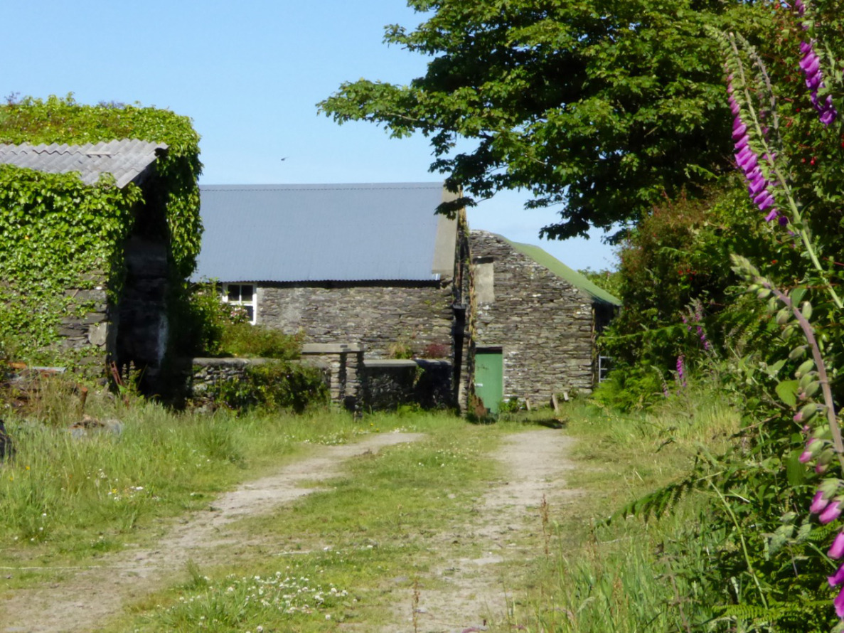 Butter Road Walk Ballydehob, West Cork