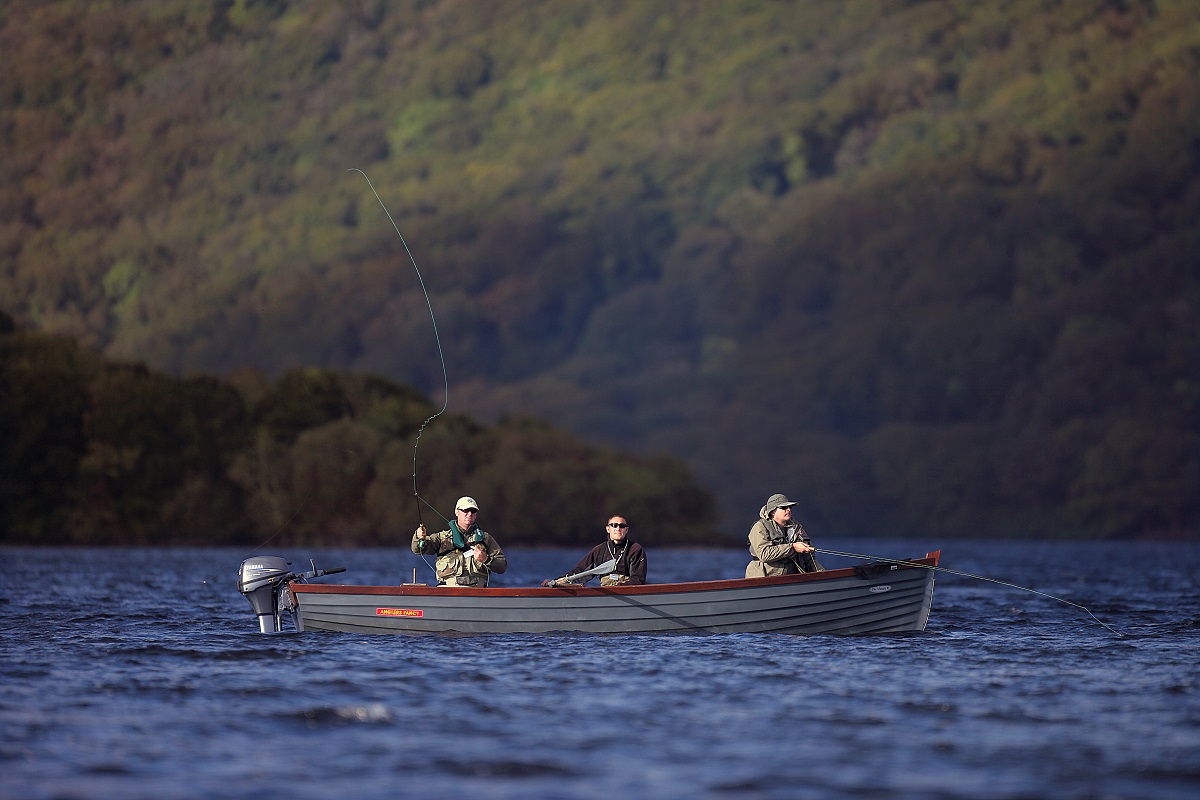 tourism office killarney