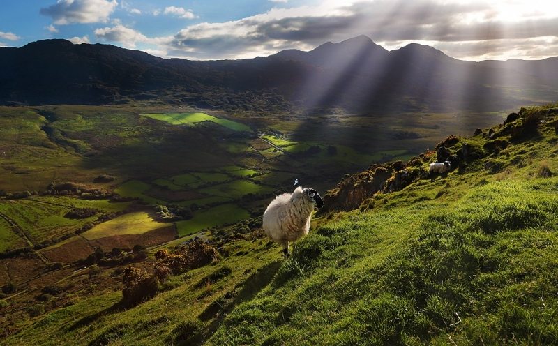 tourism office killarney