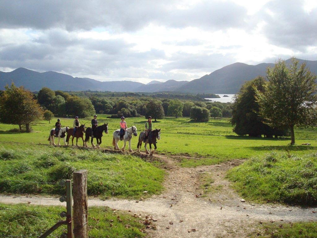 tourism office killarney