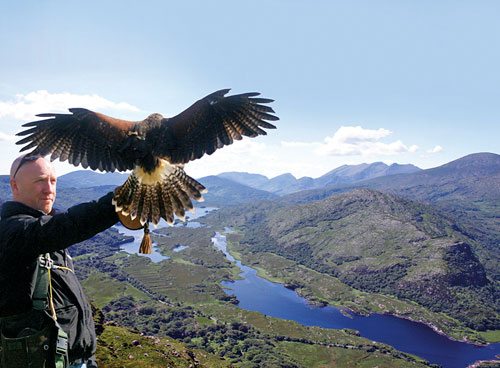 tourism office killarney